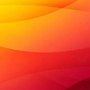 Meet your Posher, Anne